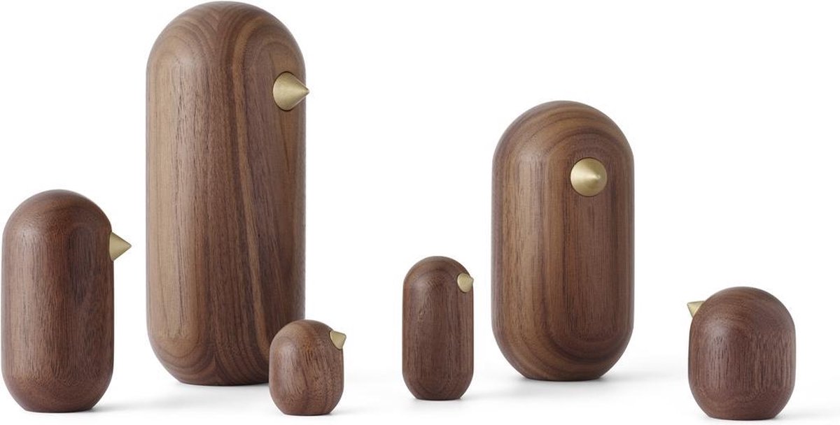 Koral lustro łukowe